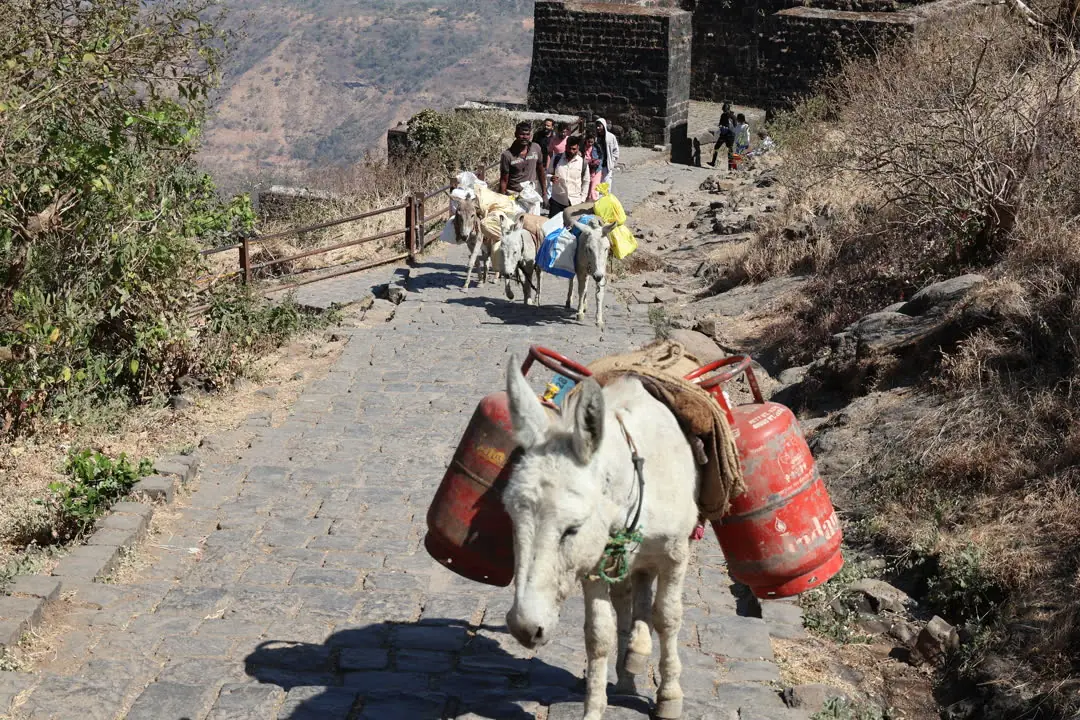 MTDC Sinhagad gallery 7
